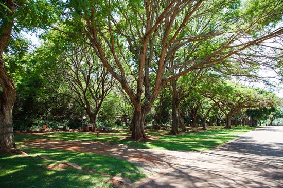 Blyde Canyon, A Forever Resort: Camping Site With Electricity