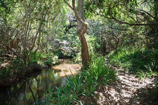 Facilities at Blyde Canyon, A Forever Resort