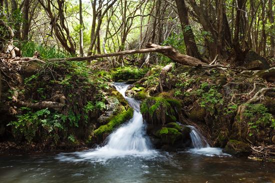 Facilities at Blyde Canyon, A Forever Resort